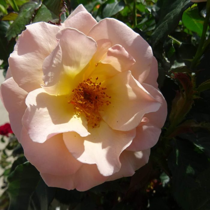 152d3891-54e5-4de7-be8c-7e026cab00a1