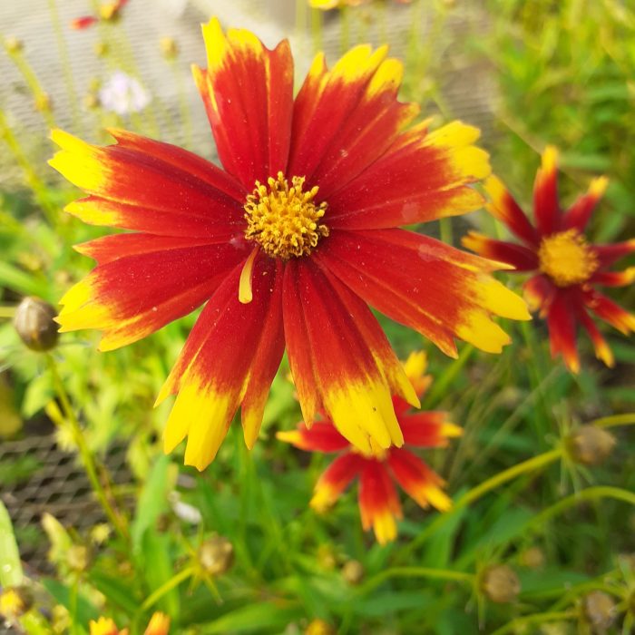 57f8e1ea-b1d7-4802-ae3e-5b76354b11e4