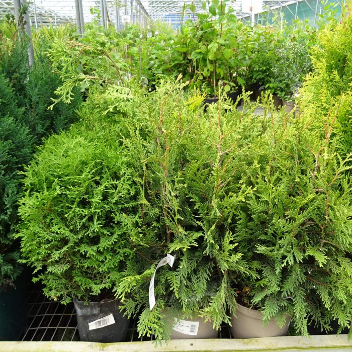 6d6a073412b97f507a5d951b5c85477d.jpg d1b2869b-5aa1-429d-be1a-a6aa23480478