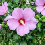 7654e568-f151-4b43-95ad-7ba1c61a809a