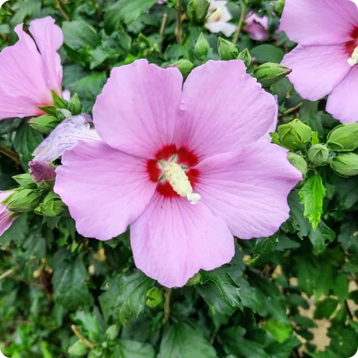 6d6a983191e0a3aebe0051fd42e3f9db.webp 7654e568-f151-4b43-95ad-7ba1c61a809a