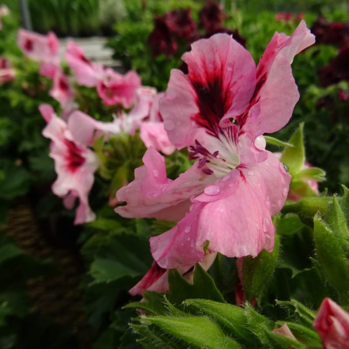 ab269077-5967-491e-9210-3c66704f5d3f