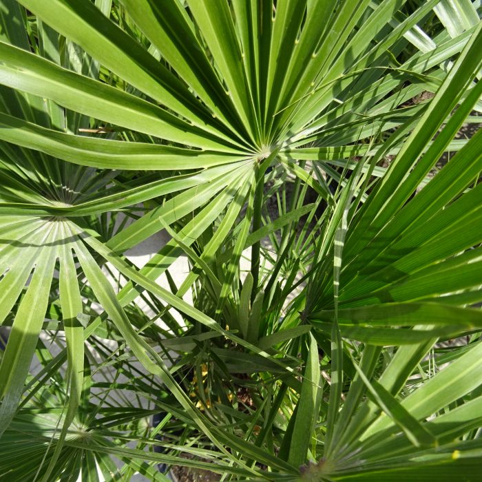 9728cb28-1518-47c3-8a21-7853b2b45890