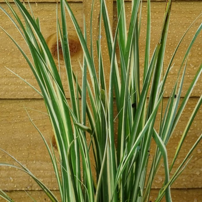 734bc105-c957-45de-a116-2cf3f8f83935