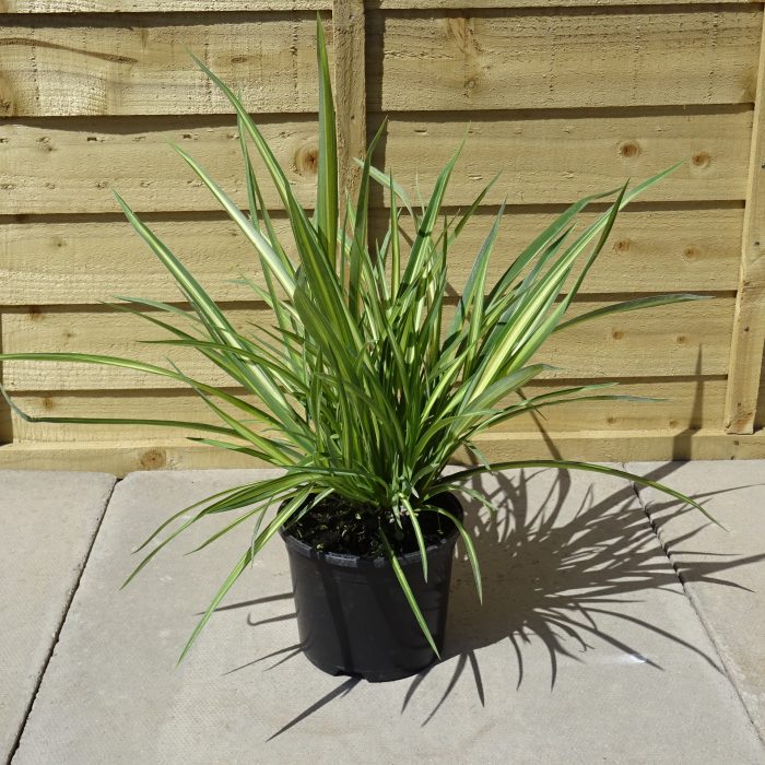 b6151030-594d-4e45-ba33-9cf4538030f2