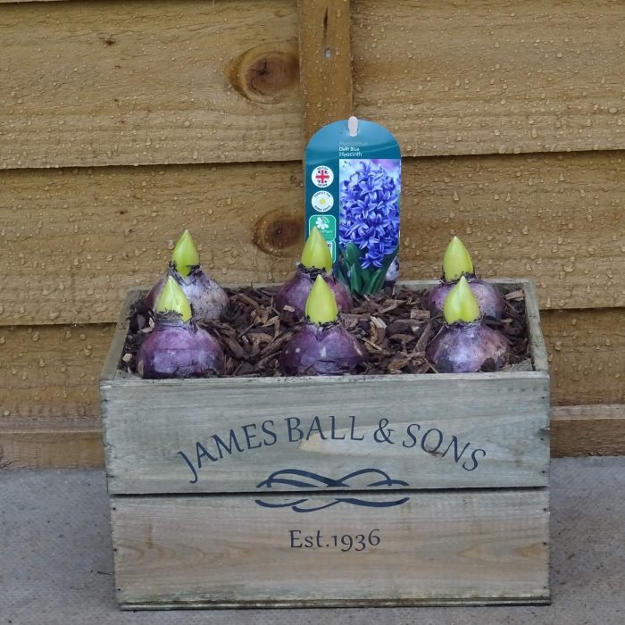 70236ed41f9c7b79b056685190998c97.jpg 7c88bc6c-653b-4772-8aeb-7fb81a7e9b59