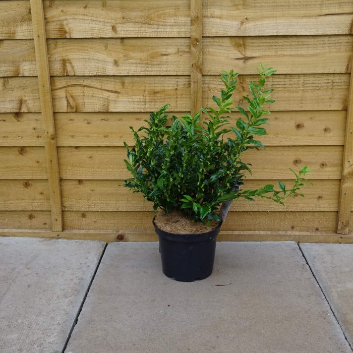 20cfa83a-679c-4360-b289-82735bb71e28