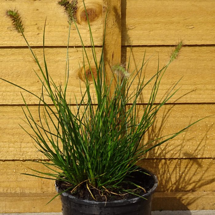 f522a202-e8c3-4c70-bcce-f3eaea8a7682