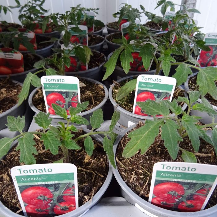 7102f7474ed0cfaf6a95f194ed3b059c.jpg 7d7a7766-c758-4d57-a568-891026e96850