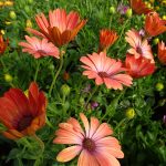 16c1987d-10c0-4989-8e92-2436e9452083