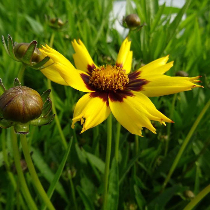 4da3a223-4299-4f2f-98a7-a1e5c5570b89