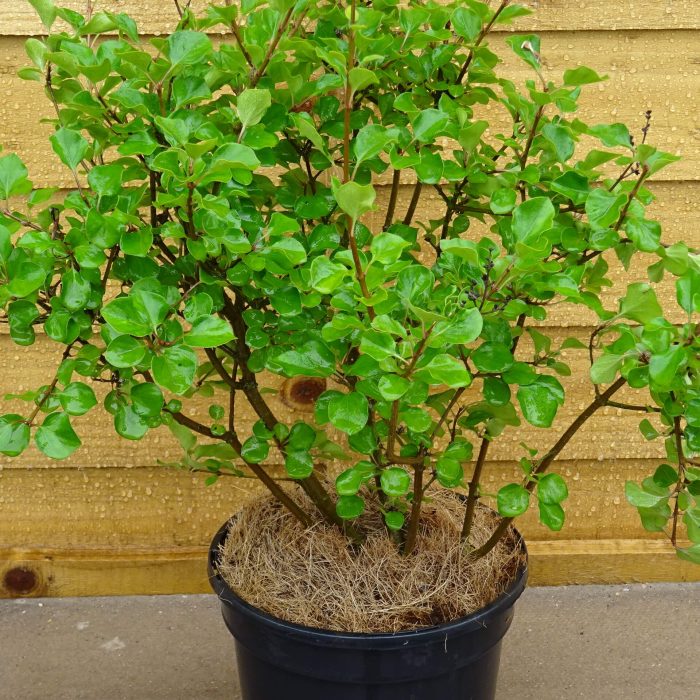 93ad3c3b-ab5c-4df7-8c48-0a75ae3ad9f6