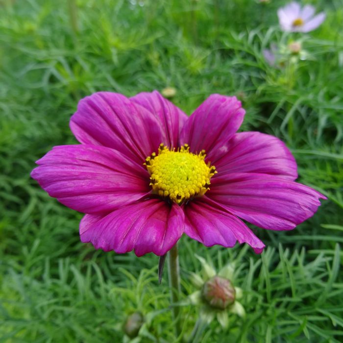 7770020d-9bf4-4e79-8a70-9a87bc43e19f