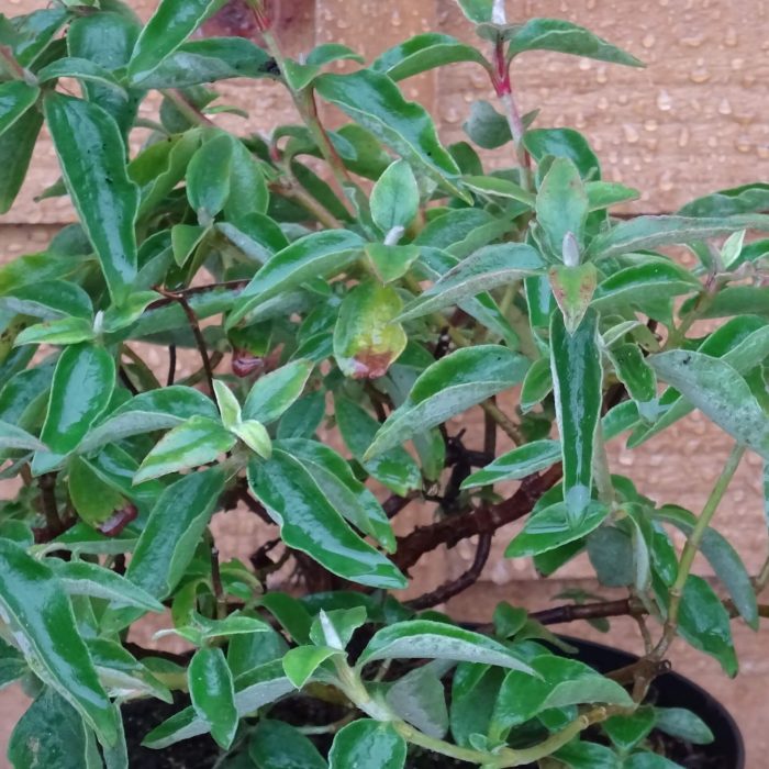 f391c9cd-0bc6-4367-bd5d-854da93b8d6b