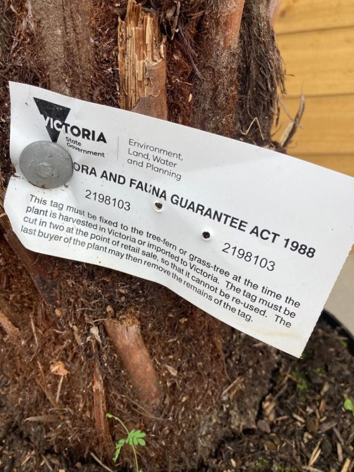 732a22c73ac6383ac84e0b14ac6c7e1d.jpg 55a43fd4-0882-4717-9b89-a9b527f4cbc4