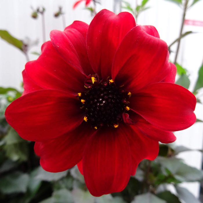 2c3b08df-05c6-458b-9b53-33b223b358ab