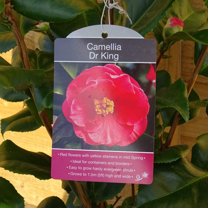 8c5fe2c7-6883-408c-be2e-38a2fd39ecaf