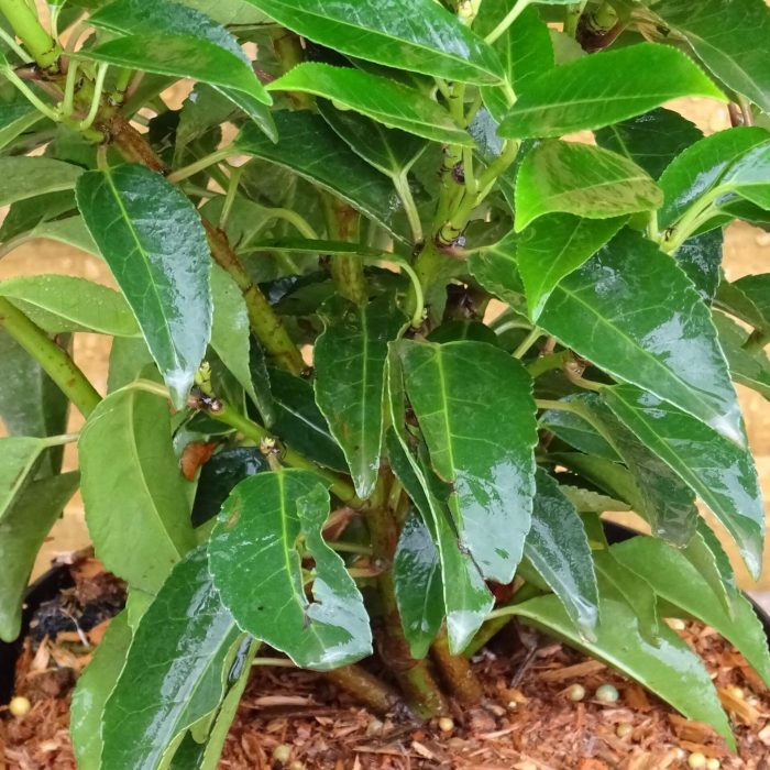 4dcb8e5d-1159-40c2-a685-c1062de352f1