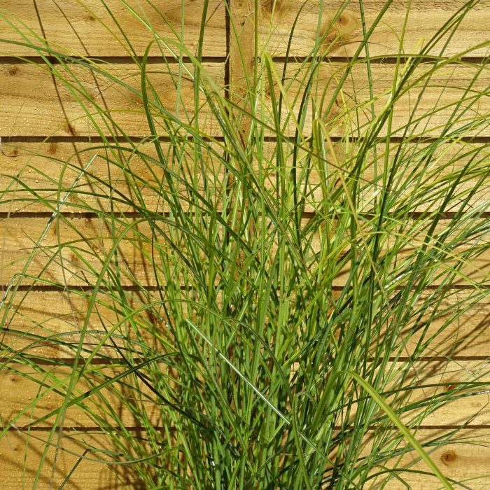 d1a240ea-9f90-4725-b153-630f05d26635