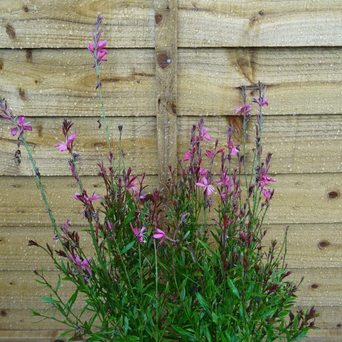 98766bde-af24-4d6b-a051-49bb98bdf876