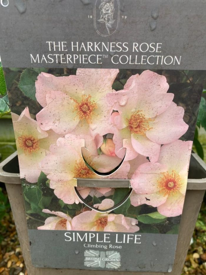 84605680-b9a2-47ea-af7a-4b63b9b33332