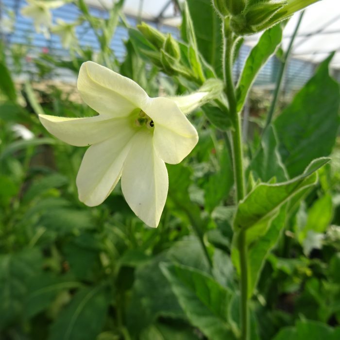 6cad04a2-4240-4da9-8aeb-5210255fff10