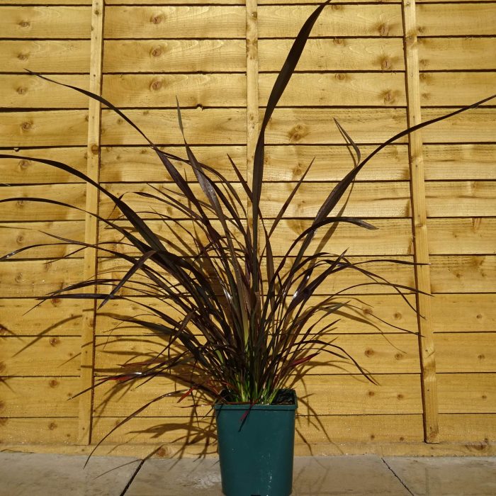 75f0c130f3be92c2d6b01f1a76ae9640.jpg 21ab0d76-1c6a-47e0-929f-8a2ac74b6a90