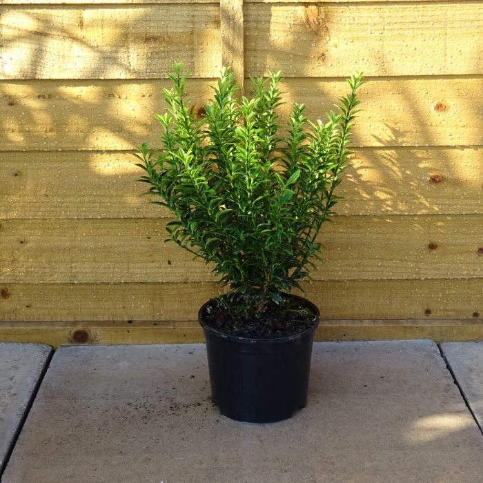 80b01840-528b-4544-8ca9-66f3e22d7c04