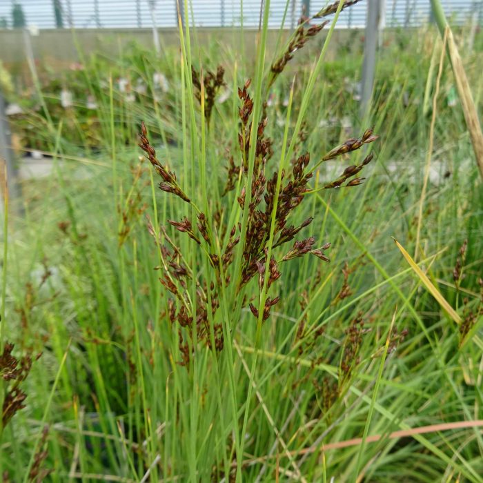 e3bc4641-4779-4643-933b-8857ba54cf0a