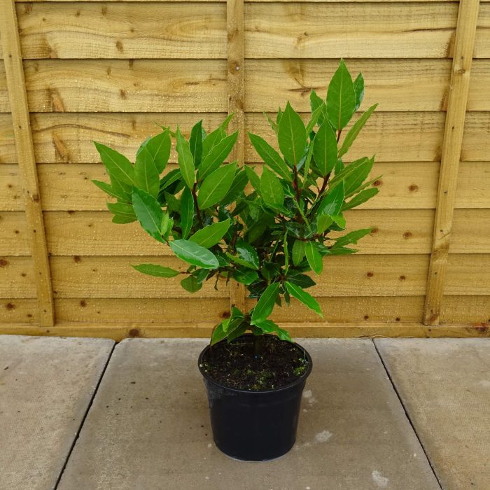 fd030a14-f6de-4f72-9a9e-e87a98c8df06