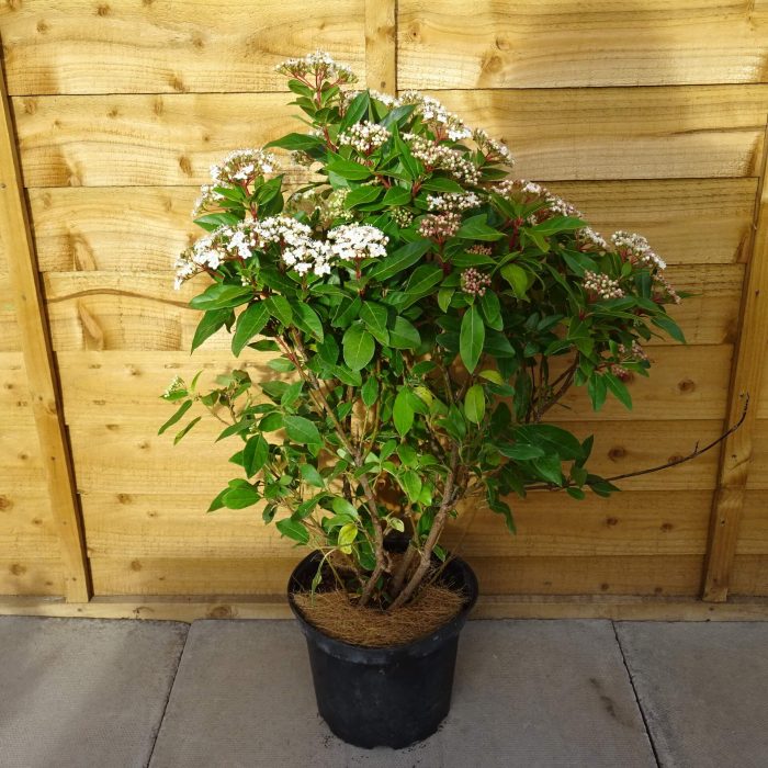 dfc683fc-3fce-4fd3-a852-cc4242cfc10b