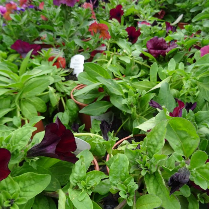 82dc8427-fb57-43ee-bf4e-b3330625586c