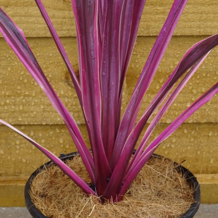 f7cd0908-7bac-41b9-b11a-40eac52583de