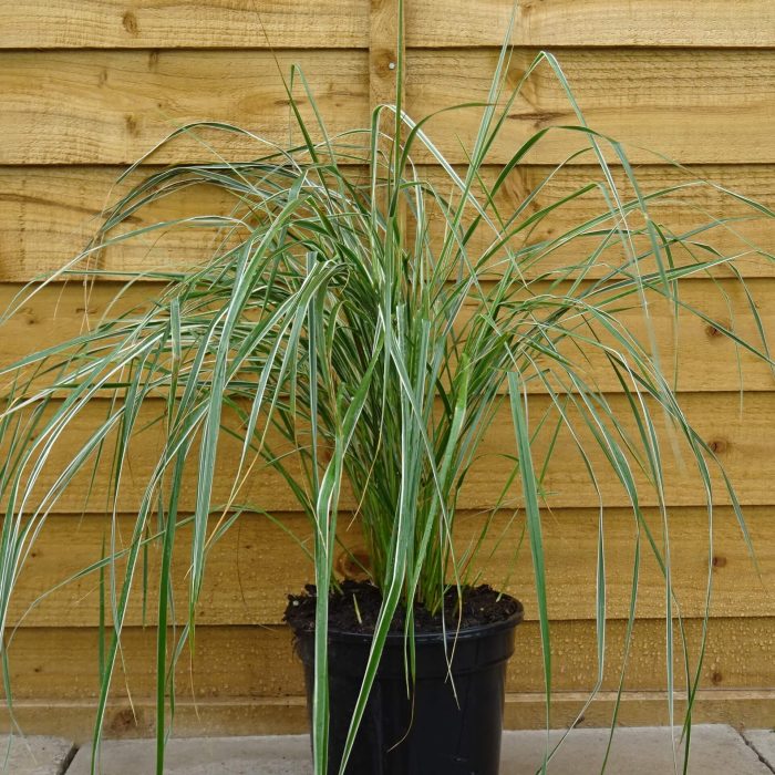 8ab1a860-d839-4ae9-a83c-02931870860c