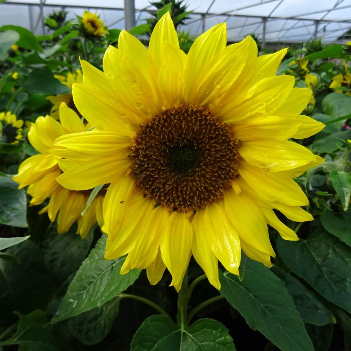 7ad40840561f48331572584254b6d7c1.jpg 5ae766c5-3f98-4714-b0df-d47498b6dbac