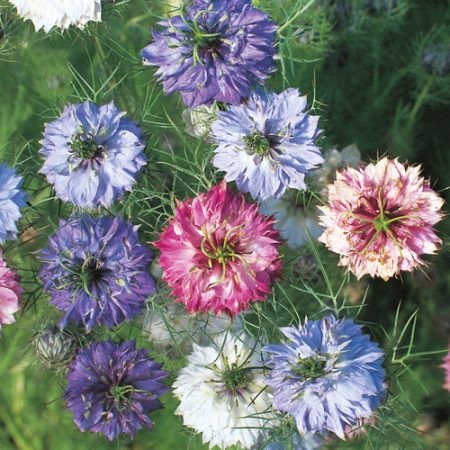 666c6129-7c12-42d7-83ab-7f856a797745