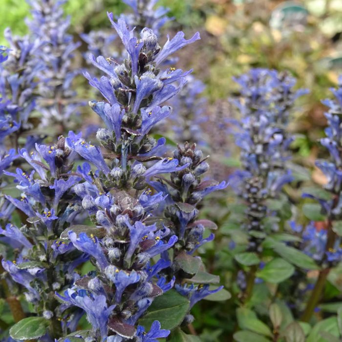 4206b2aa-b321-4341-9fcb-d5a817f28488