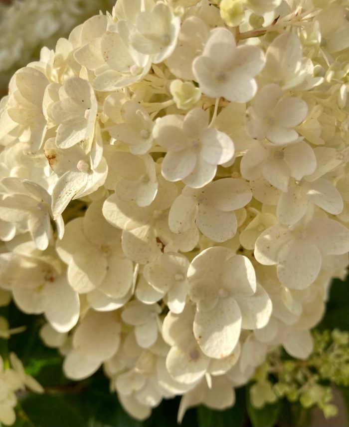 7bef019e1787f011d42067dc9f1a6730.jpg cc38a2fa-d725-4ced-9f34-62516931ad27