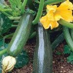 9c2839a3-298a-4664-b663-35c507b822a6