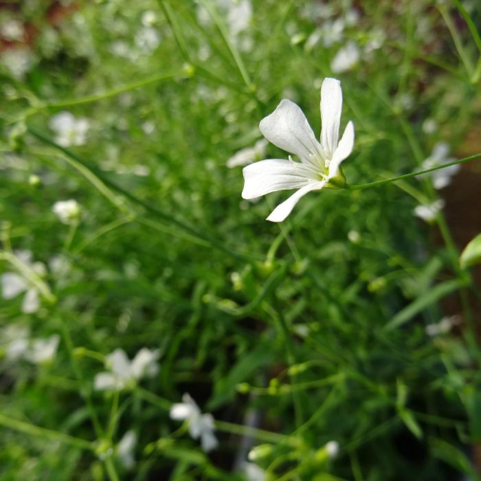 f6906050-314e-4daf-a97d-4a0194ef0af2