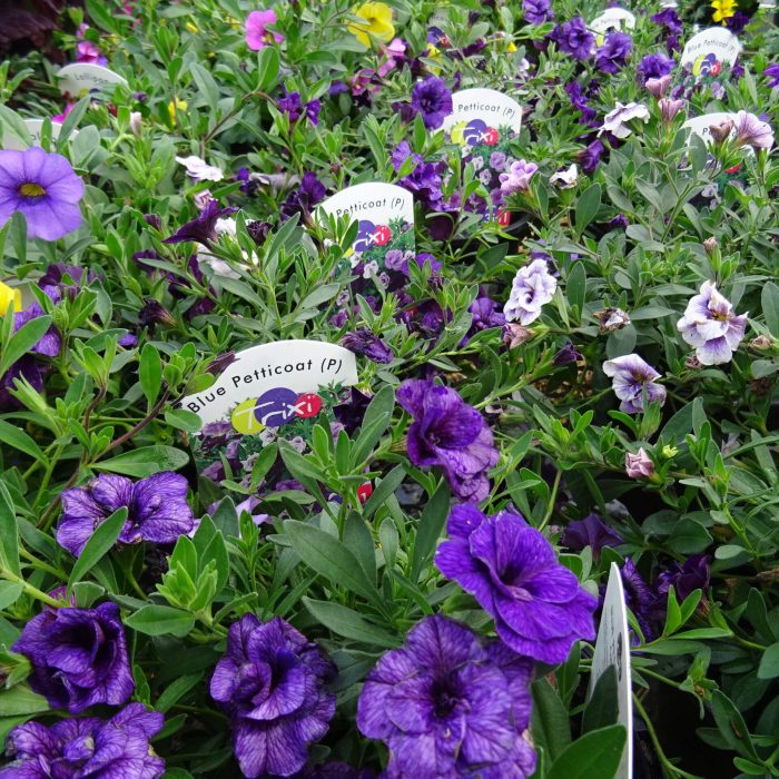 6436aeb5-f578-48cf-8126-1fbcc8387790