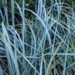 434bf1b9-4b1c-492b-ac30-494f5ef2de32