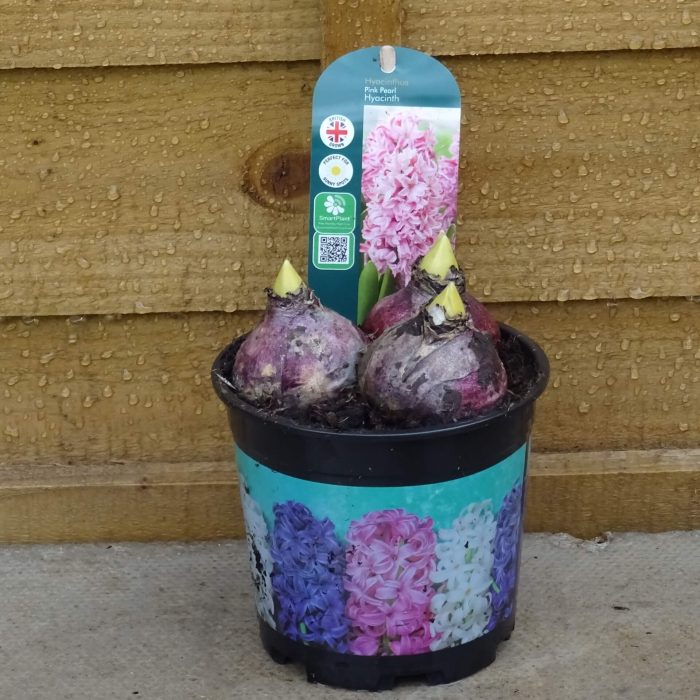 f4c7402a-f3ec-4e40-a49c-4cd0d70c0fef