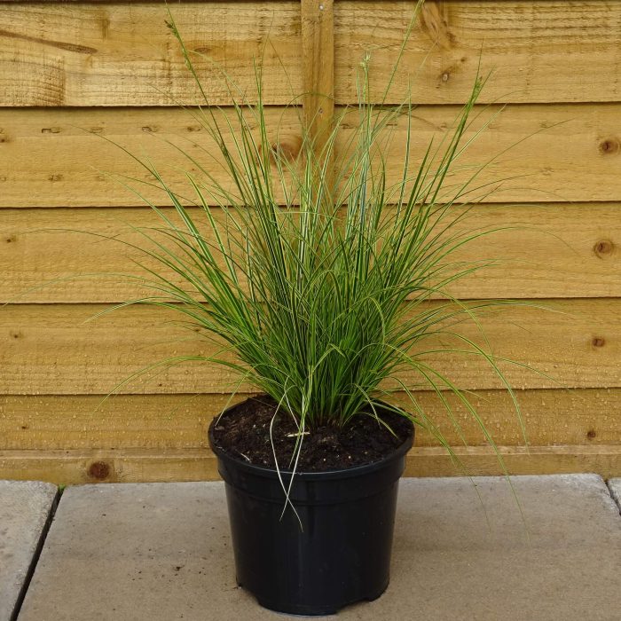 7d606a1ec0de9483b9fd521013b2d490.jpg 8cb4ad37-1388-4401-a453-97a1af25c682