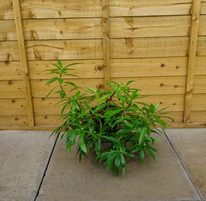 bd9c6c9a-fc9a-4d29-83ad-af8ac600e51f