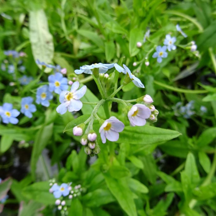 6e93a7a8-5e13-4adb-a32f-fea4cce84fab