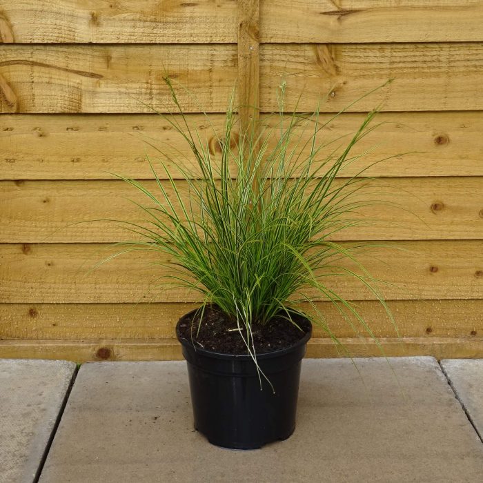 7df5138b3ac8282e56ebfd27f87c8c76.jpg 3c019ff3-0abe-4d7c-ba9a-736fc64632c3