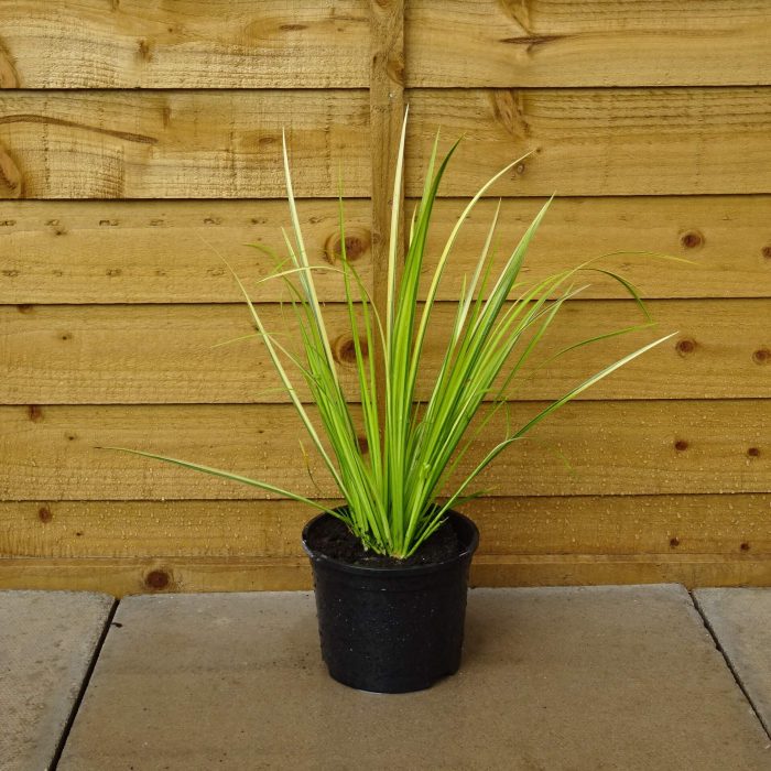 62e00d87-4afd-4431-b4dd-ada3716d9ac5