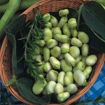 55e97a37-46ff-41a3-806c-38e9538b7064