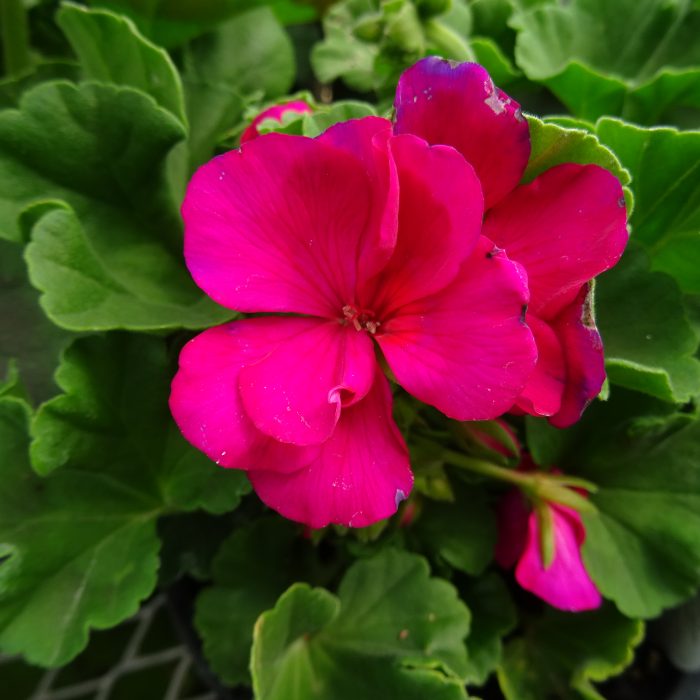 80130cb3bb120dccc53770f7612d3907.jpg 43918f13-6350-434e-810c-894e29a51ecf